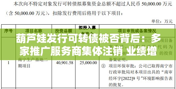 葫芦娃发行可转债被否背后：多家推广服务商集体注销 业绩增长多为“纸面富贵”