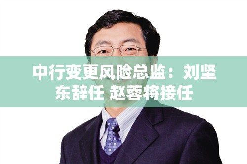 中行变更风险总监：刘坚东辞任 赵蓉将接任