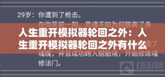 人生重开模拟器轮回之外：人生重开模拟器轮回之外有什么用