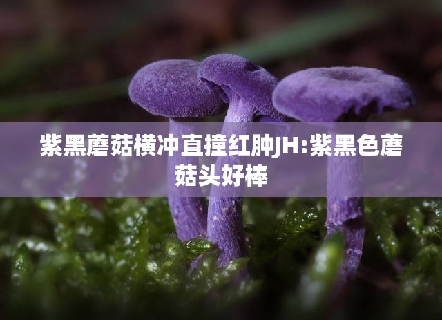 紫黑蘑菇横冲直撞红肿JH:紫黑色蘑菇头好棒