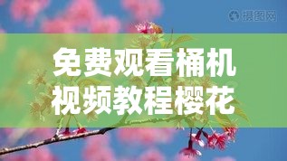 免费观看桶机视频教程樱花