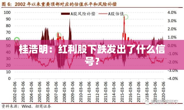 桂浩明：红利股下跌发出了什么信号？