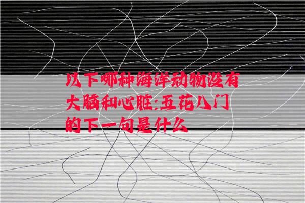 以下哪种海洋动物没有大脑和心脏:五花八门的下一句是什么