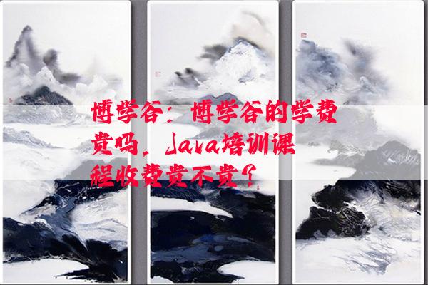 博学谷：博学谷的学费贵吗，Java培训课程收费贵不贵？