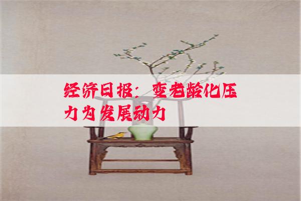 经济日报：变老龄化压力为发展动力