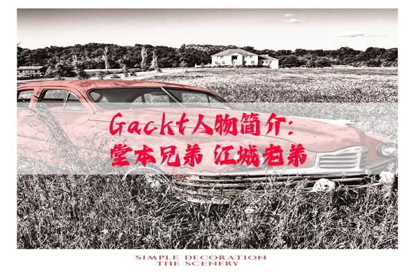 Gackt人物简介:堂本兄弟 江城老弟