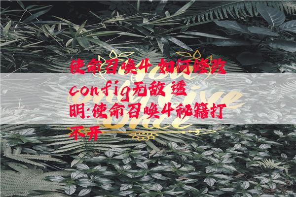 使命召唤4 如何修改config无敌 透明:使命召唤4秘籍打不开